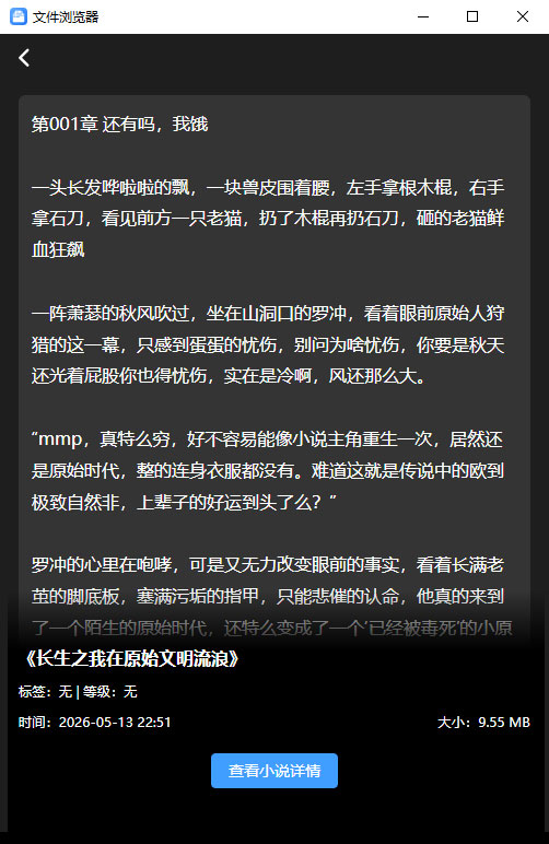小说阅读